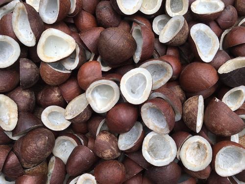 Dry Coconut -250G - Image 2