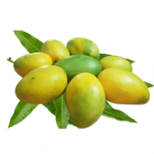 Fresh Imam Pasand mango fruit