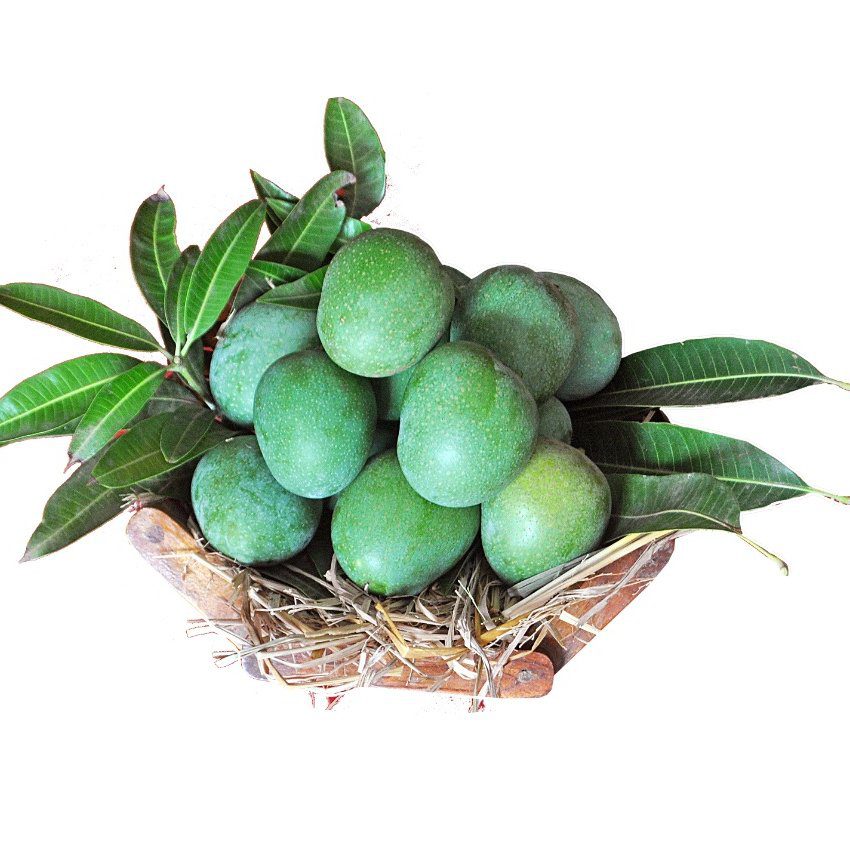 Panduri Mamidi__Mangoes_Vivekananda Agro Foods
