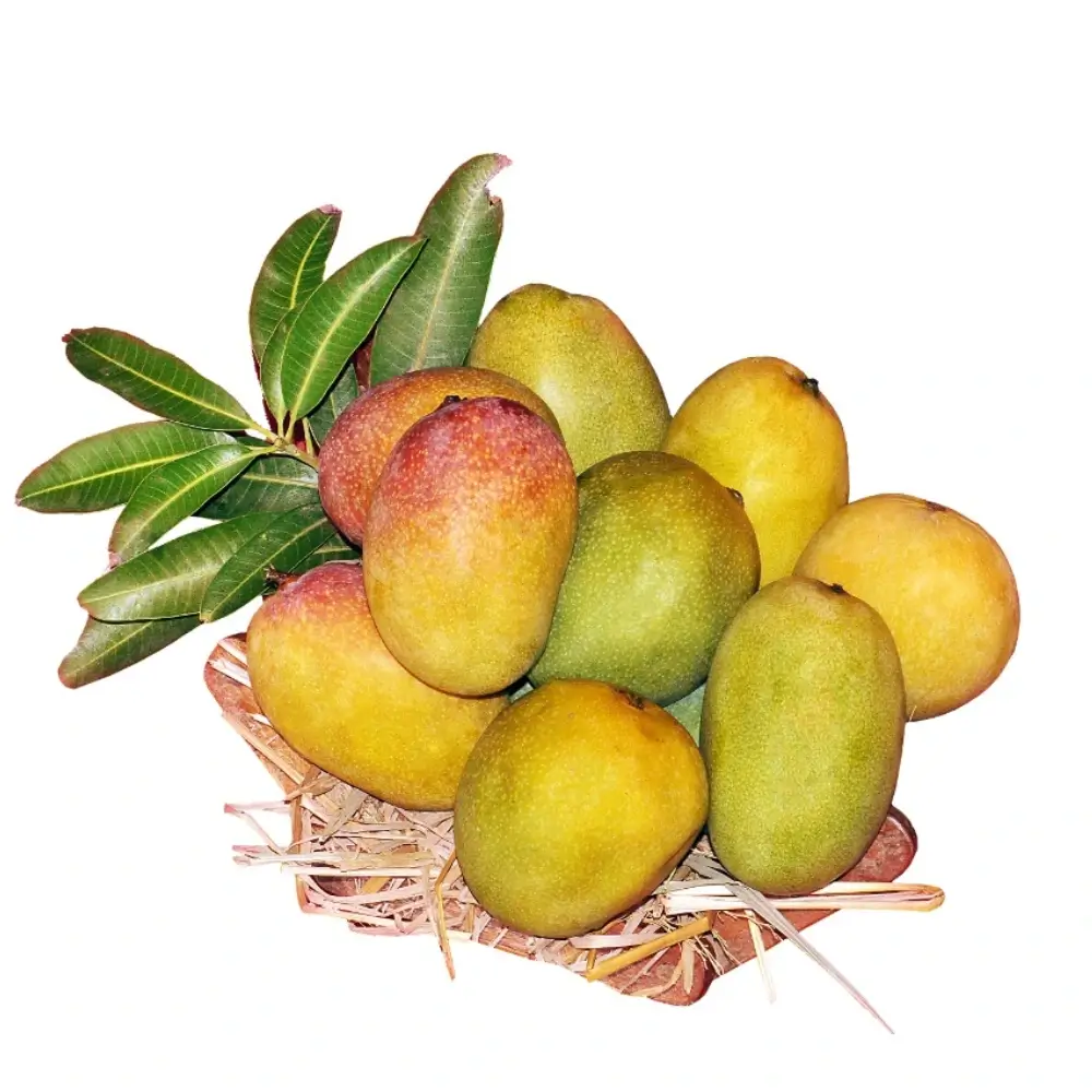 andhra-combo-mangoes-vivekanandaargofoods