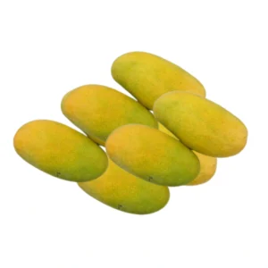 Chinna Rasalu mango juicy small size Andhra mango variety