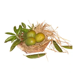 Panchadara Kalasa sweet mango variety from Andhra Pradesh