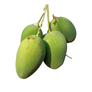 Raw Kothapalli Kobbari